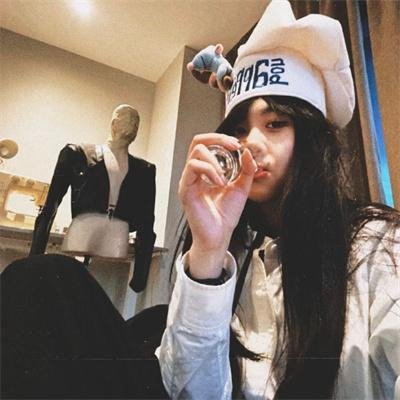 暴风雪中的白鸟